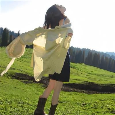 宋秘书又辞职了